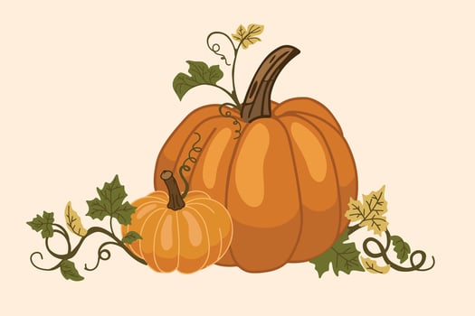 two pumpkins with green vines vector