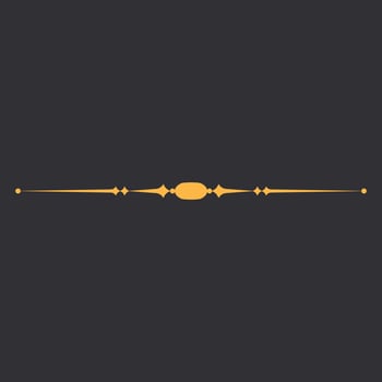Vintage Minimalist Divider Line 8 vector
