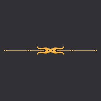 Vintage Minimalist Line Divider 3 vector