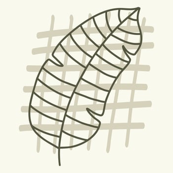Minimalist Tropical Leaf Design vector