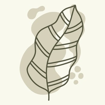 Minimalist Botanical Leaf Design vector