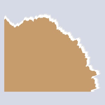 Torn Paper Edge Minimalist vector