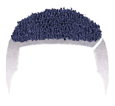 Curly hair illustration in navy blue vector
