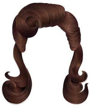 Stylish brown hair illustration vector