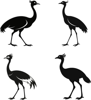 Art of seriema silhouettes a collection of south american birds standing and walking, showcasing their unique features and postures vector