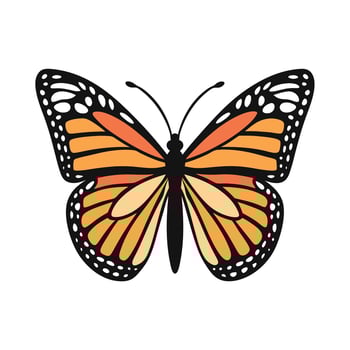 Monarch butterfly graphic with orange wings outlined in insect animal vector