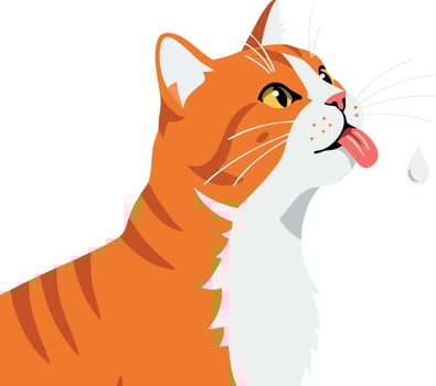 Orange and white tabby cat licking water droplet playful and curious feline pet illustration vector