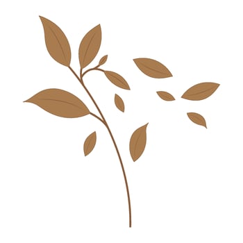 Autumn leaf logo template icon vector