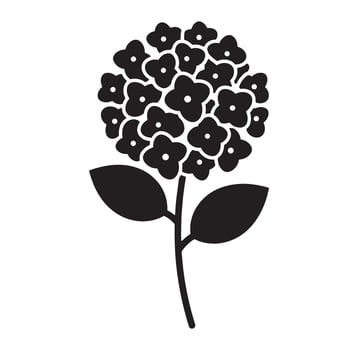Elegant black and white hydrangea flower illustration perfect for botanical and floral designs vector