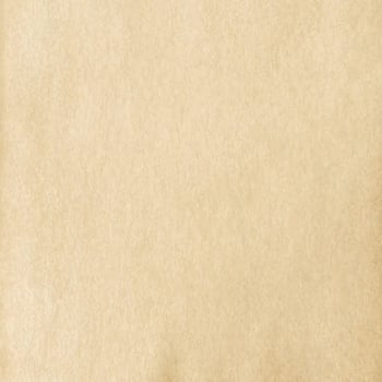 Textured beige background vector