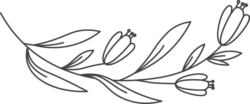 Flowers Branch Outline vector