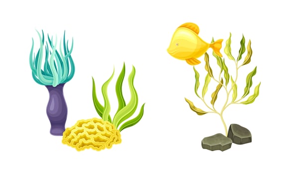 Underwater marine flora and fauna set. Aquatic algae, aquarium plants cartoon illustration vector