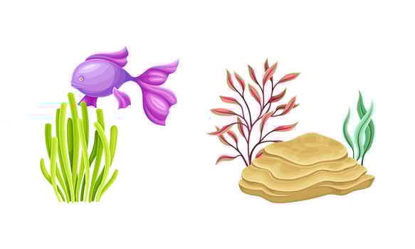 Underwater sea plants and fish set. Algae seaweeds, aquarium flora and fauna cartoon illustration vector