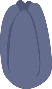 Tulip Flower Bud vector