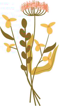 Wild Flowers Bouquet Illustration vector