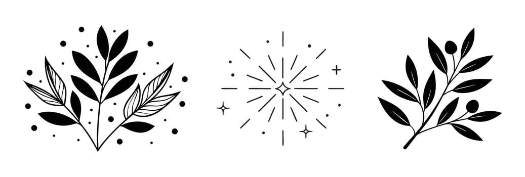 Art of black botanical elements and starbursts vector