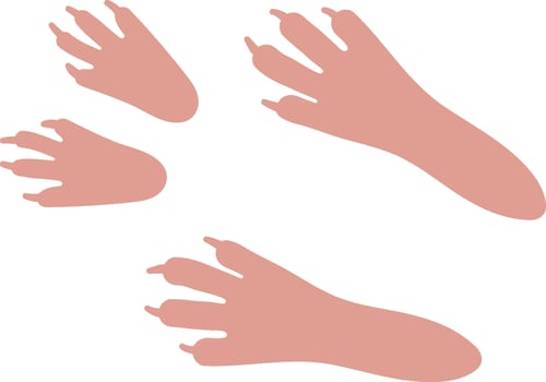 Handdrawn Pet Footprint Silhouette vector