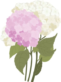 Hydrangea Flowers Bouquet vector