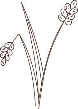 Floral Branch Sketch Hand Drawn vector