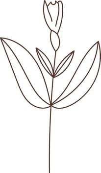 Flat Illustration Icon Flower Hand Drawn Sketch vector