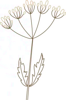 Wildflower Line Hand Drawn Flat Illustration Hand Drawn Icon vector