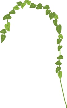 Handdrawn Leaves Climbing Plant vector