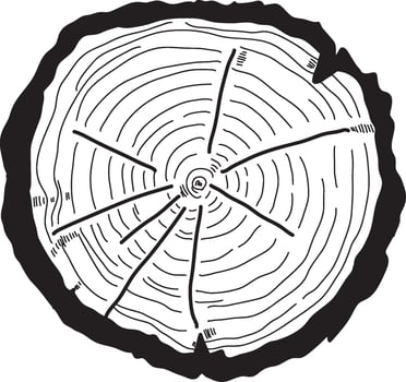 Wood Circle Lines Texture Doodle Illustration vector