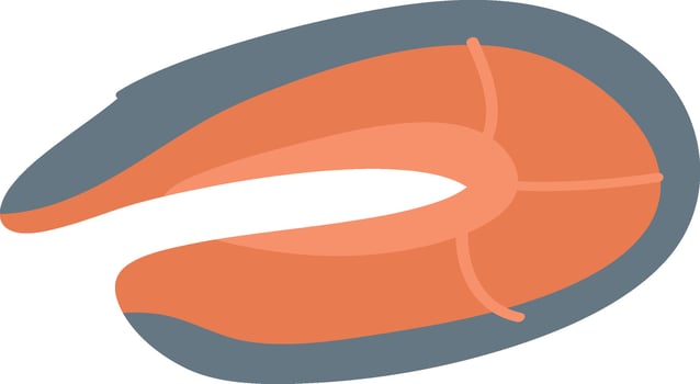 Salmon Slice Seafood vector
