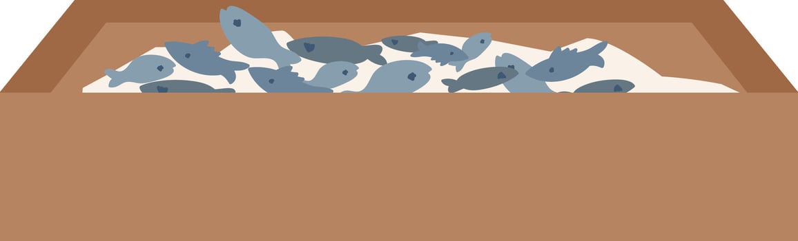 Box With Fish Seafood vector