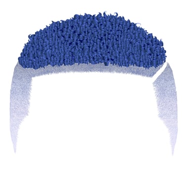 trendy curly african short blue hair . fashion beauty style afro vector