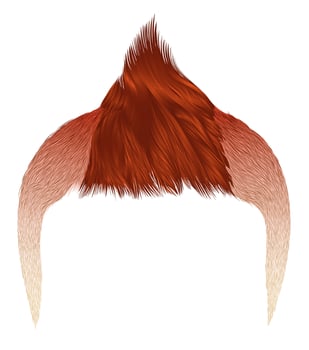 trendy man hairs . red orange color . beauty style Iroquois vector