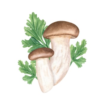 Mushrooms with parsley illustration vector