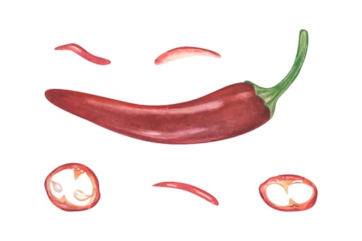 Illustration of red chili pepper slices vector