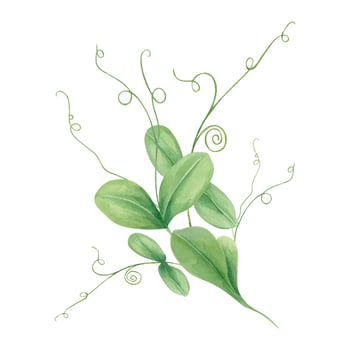 Green leaves and vines illustration vector