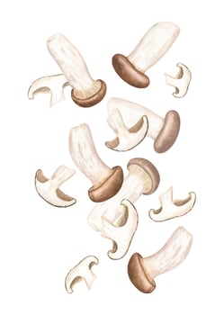 Assorted mushrooms illustration for recipes vector