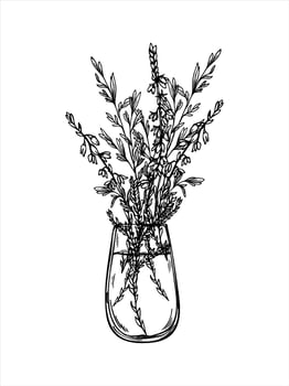 Monochrome bouquet of blooming heather branches, spikelet in glass. Scotland wildflowers etching drawing for wedding invitation, rustic label, herbal product packaging, and vintage style decor. vector
