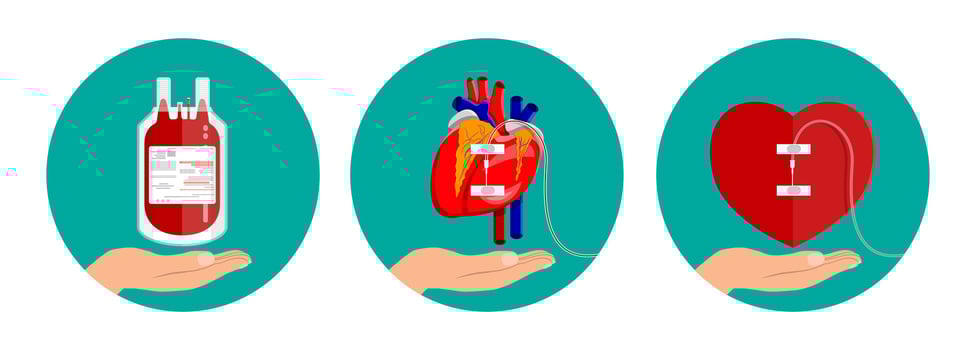 Blood donation and heart illustration vector