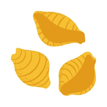 Conchiglie pasta, ideal for food blogs, restaurant menus, or Italian cuisine designs. vector