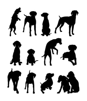 dog silhouette collection poses illustration vector