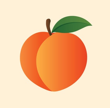 Vibrant peach with green leaf vector