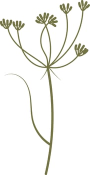 Delicate Botanical Herb Silhouette vector
