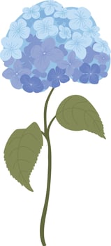 Hydrangea Flower On Stem Illustration vector