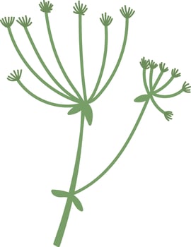Botanical Herb Branch vector