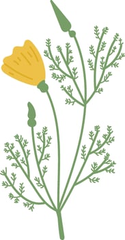 Delicate Botanical Flower vector