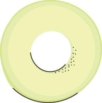 Sliced Avocado Fruit vector