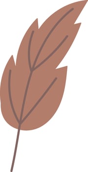 Autumn Leaf Graphic vector