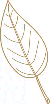 Leaf Line Sketch vector
