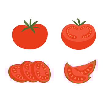 Fresh tomatoes and slices illustration vector
