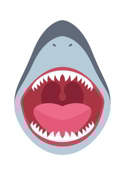Shark Open Mouth Illustration vector