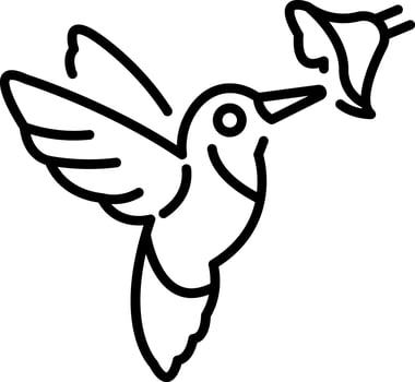A linear style icon representing hummingbird vector